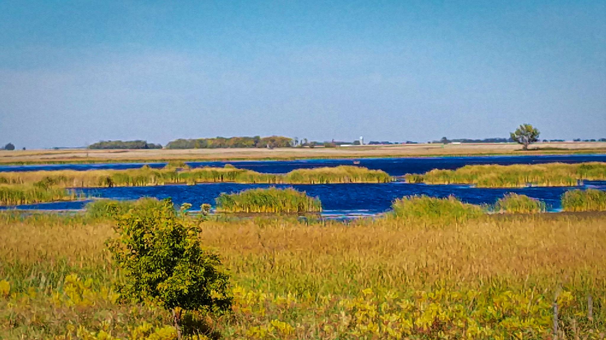 Big Stone County Land For Sale at Carmen Gray blog