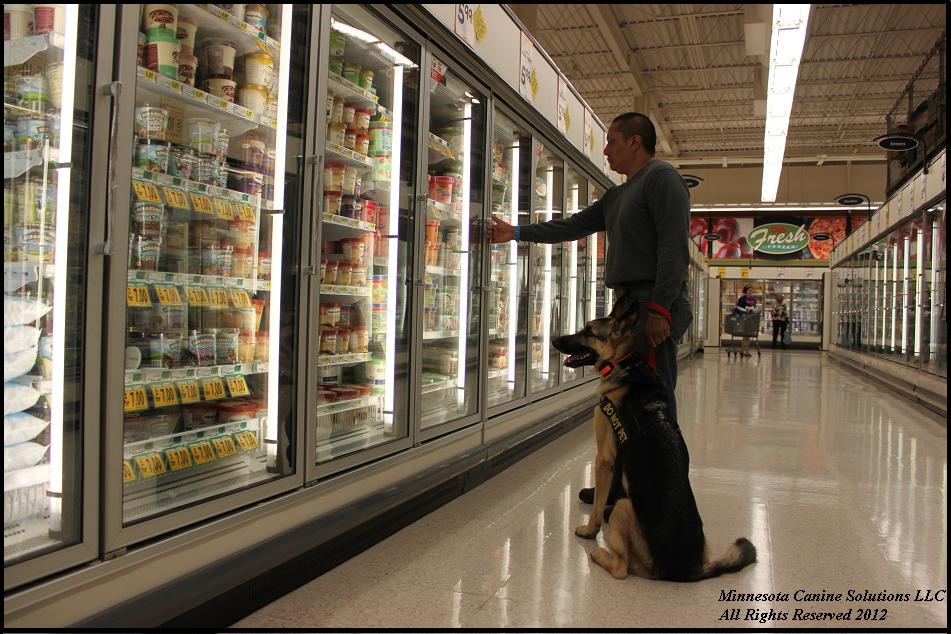 Minnesota Guard Dog Trainer Training and Assessment Application