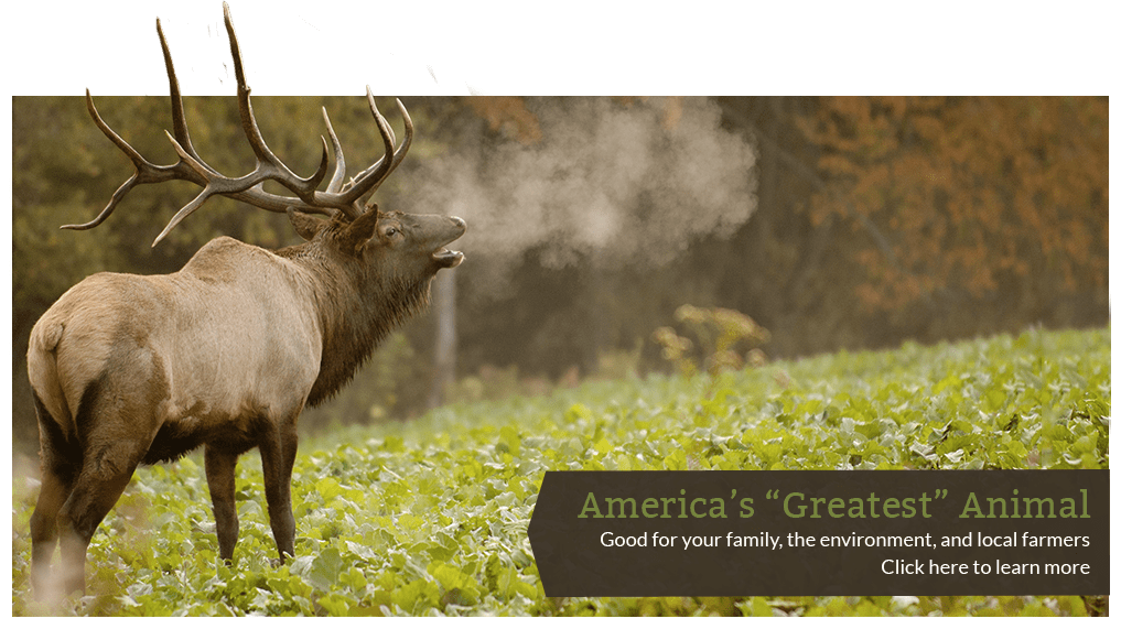 Minnesota Elk Breeders Association A unified voice that strengthens the elk farming industry