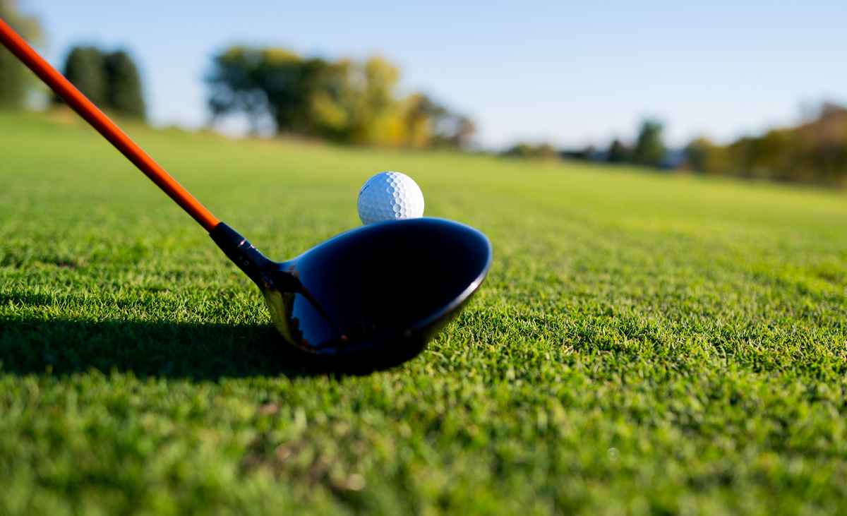 Free Greens Fee Passes Minnesota Golf Show