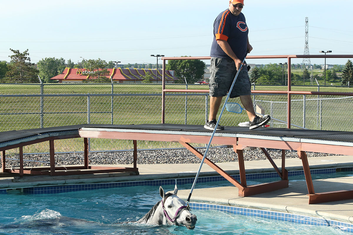 Equine Swimming Pool Minnesota HBPA