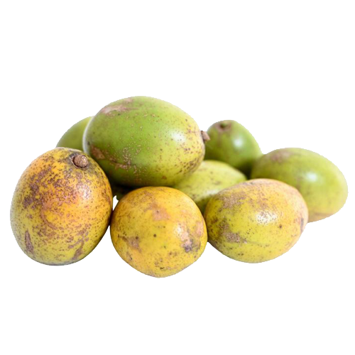 Golden Apple (June Plum) MNIB Grenada