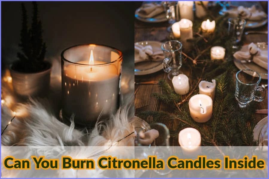 Can You Burn Citronella Candles Inside? All You Need To know