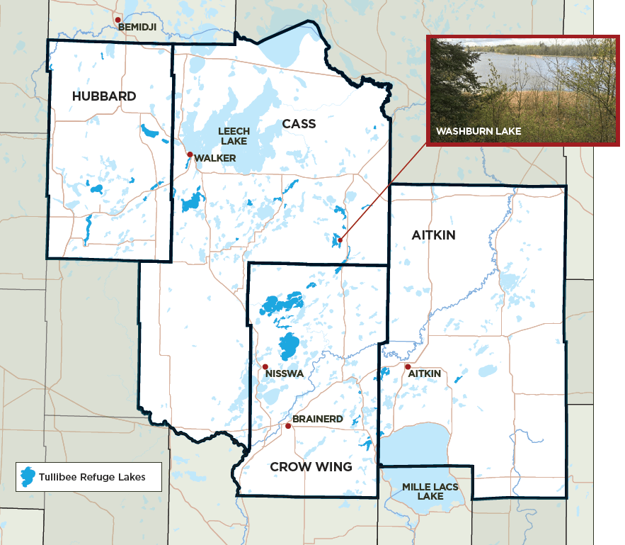 A Link Between Fish and Forest