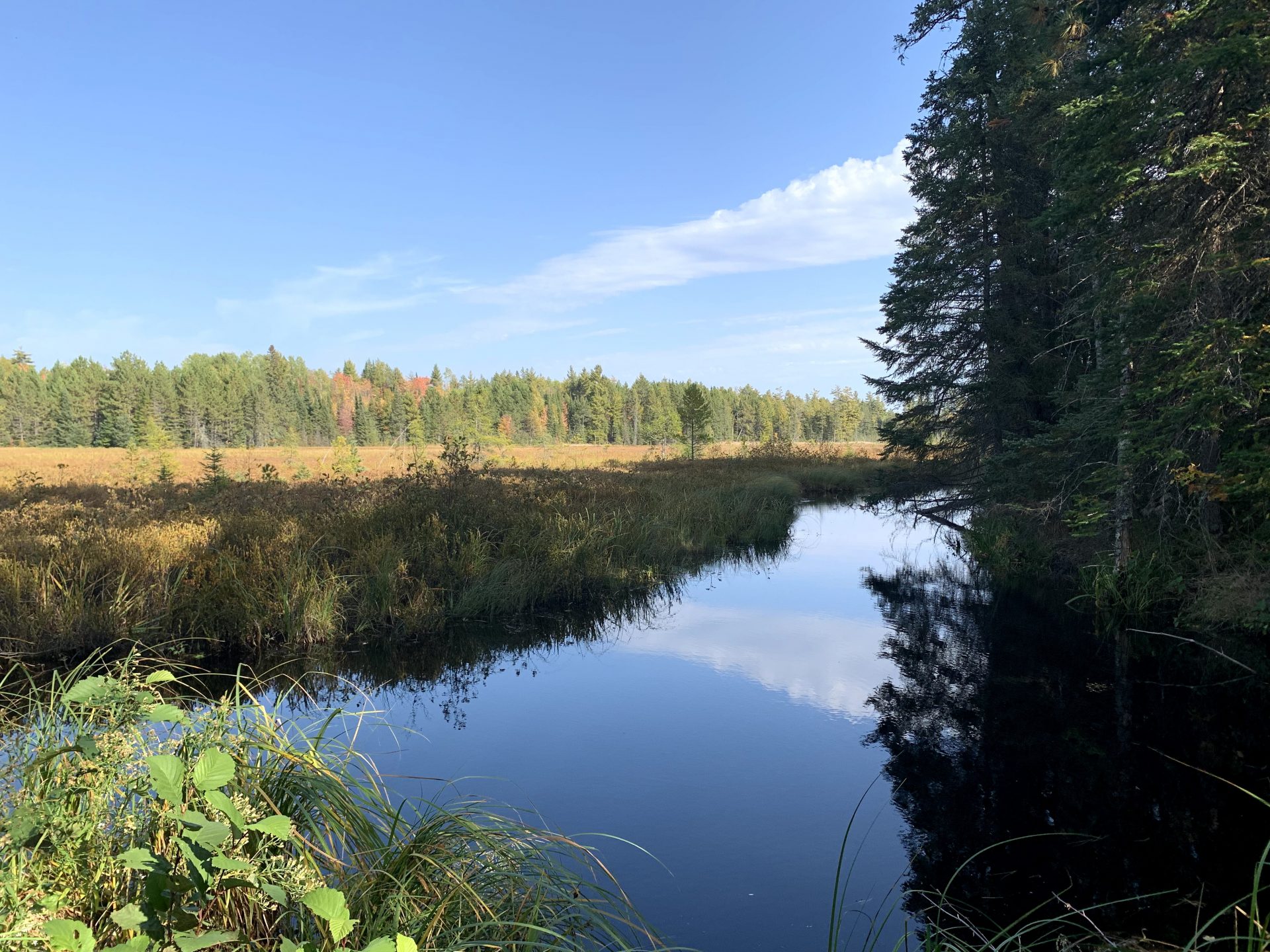 Protecting Minnesota’s North Woods