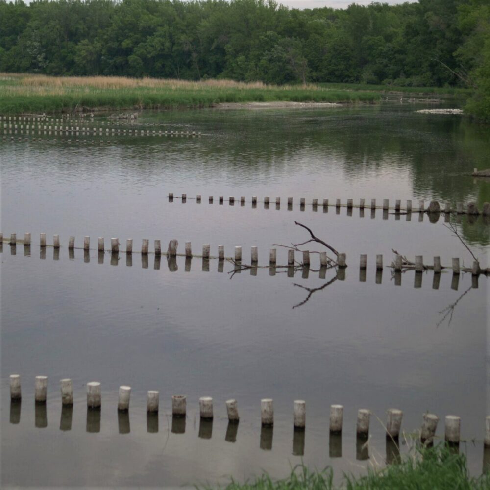 Shell Rock River Restoration