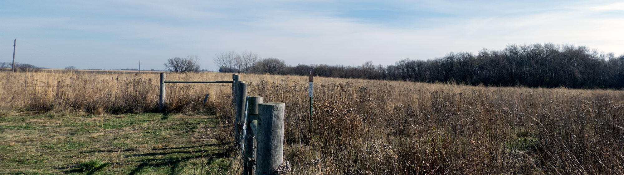Perch Lake Waterfowl Production Area Minnesota Pheasants, Inc.