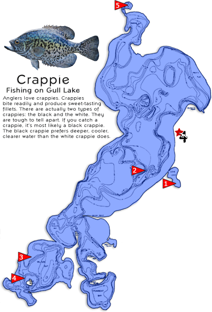 Mn Fishing Resort Gull Lake Crappie Fishing Hot Spots Revealed - Crappie Map - How To Catch Crappies On Gull Lake Affordable Vacation Rentals Fishing On Gull Lake Brainerd Minnesota Fishing Resort