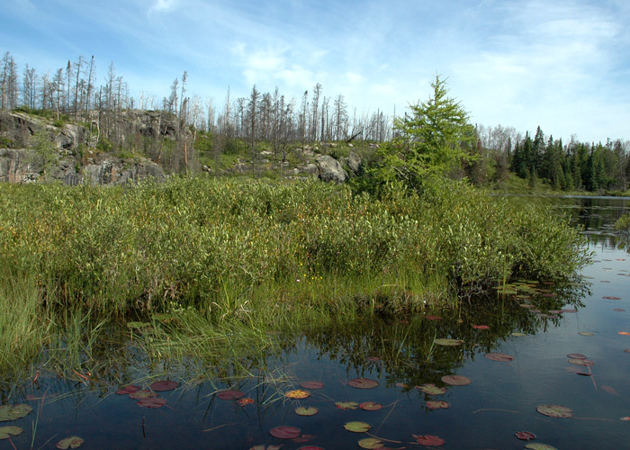 Midwest Natural Resources Scott Milburn