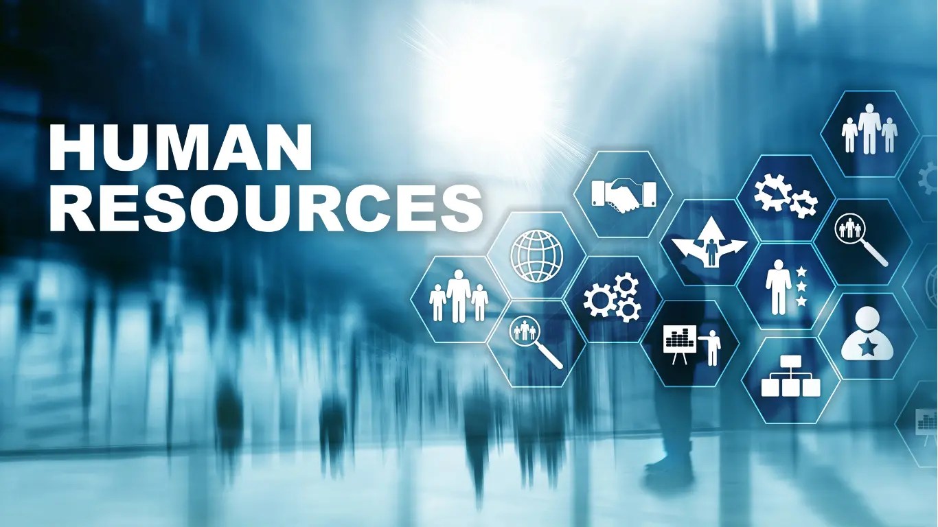 Why Human Resource is Important in an Organization Executive Search