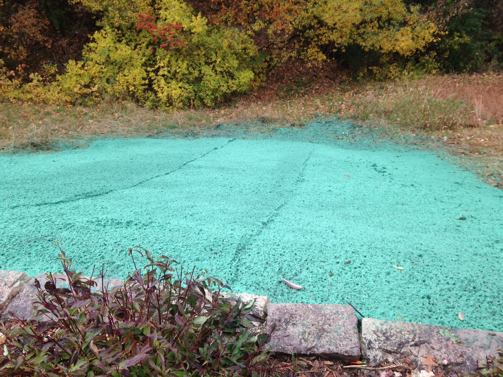 Erosion Control Minnesota Sodding Company