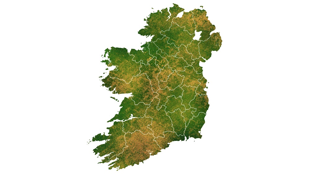 Clans of Ireland Series The Dal Cais M.N. Stroh