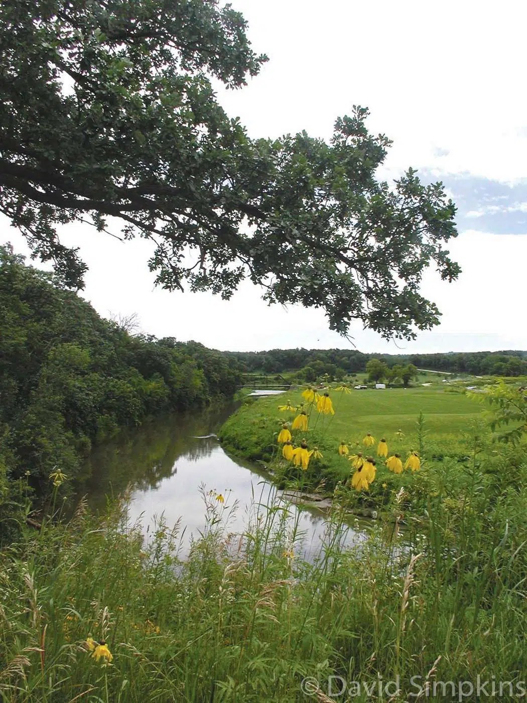 Root River/HarmonyPreston Valley State Trail Minnesota Trails