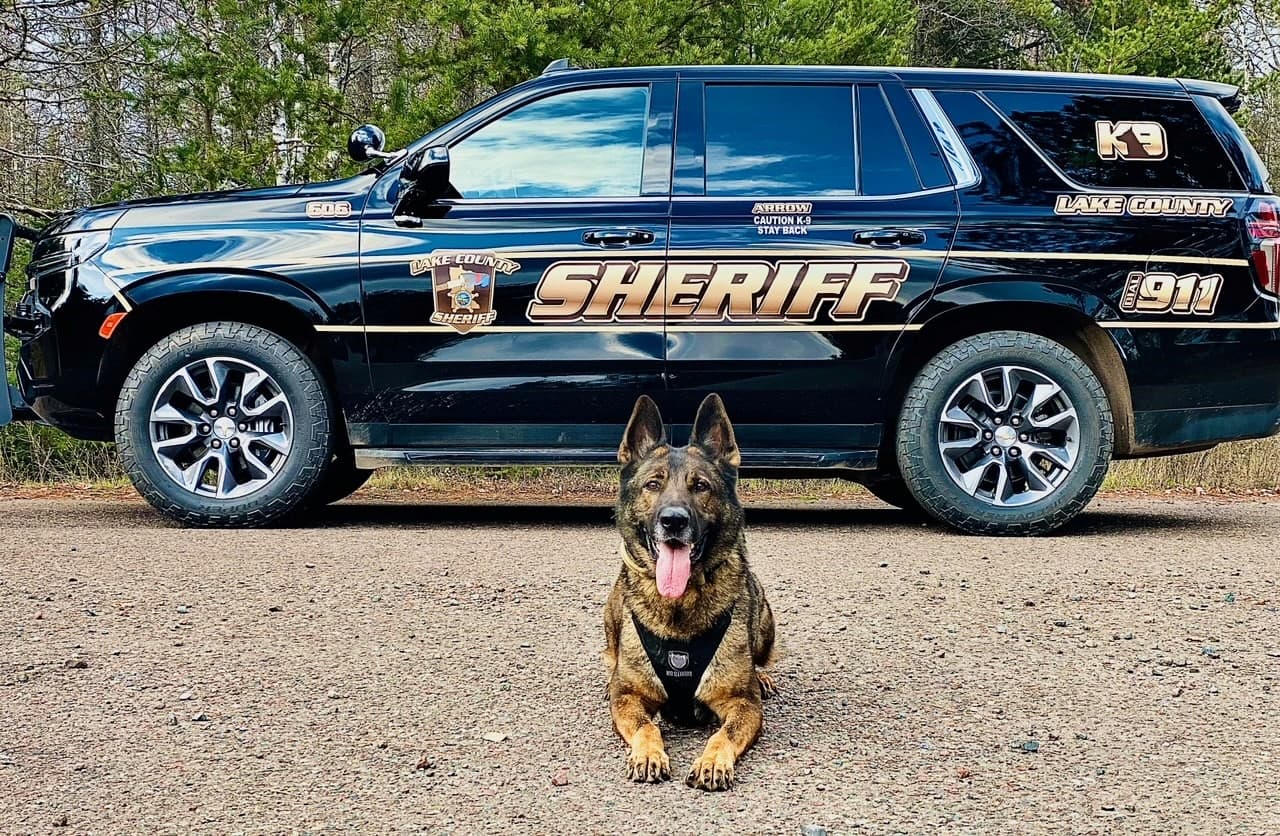 Working Dog Dentistry Minnesota Veterinary Dental Specialists