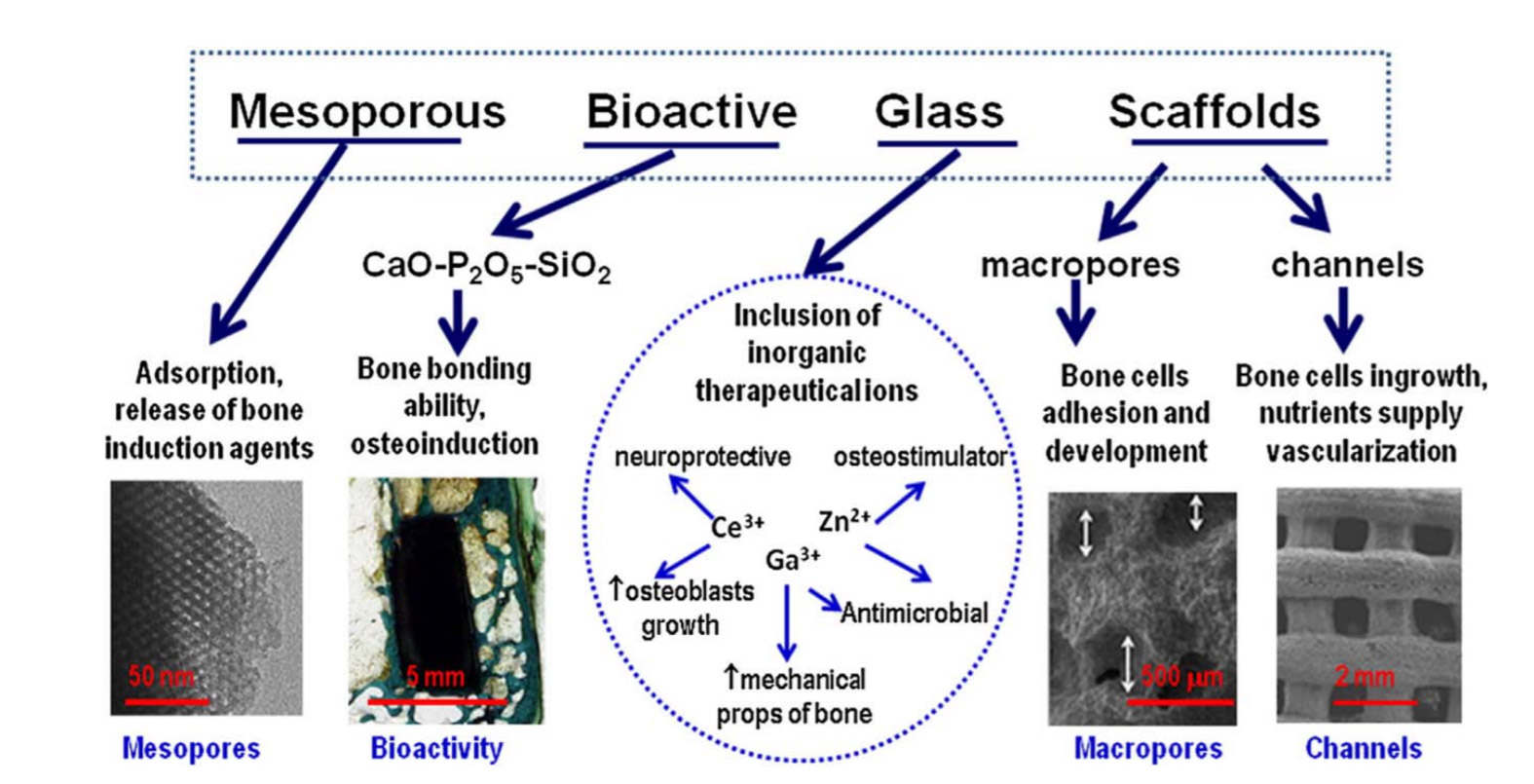 Glass Tips from Verrier 3D Printing Bioactive Glass Scaffolds for