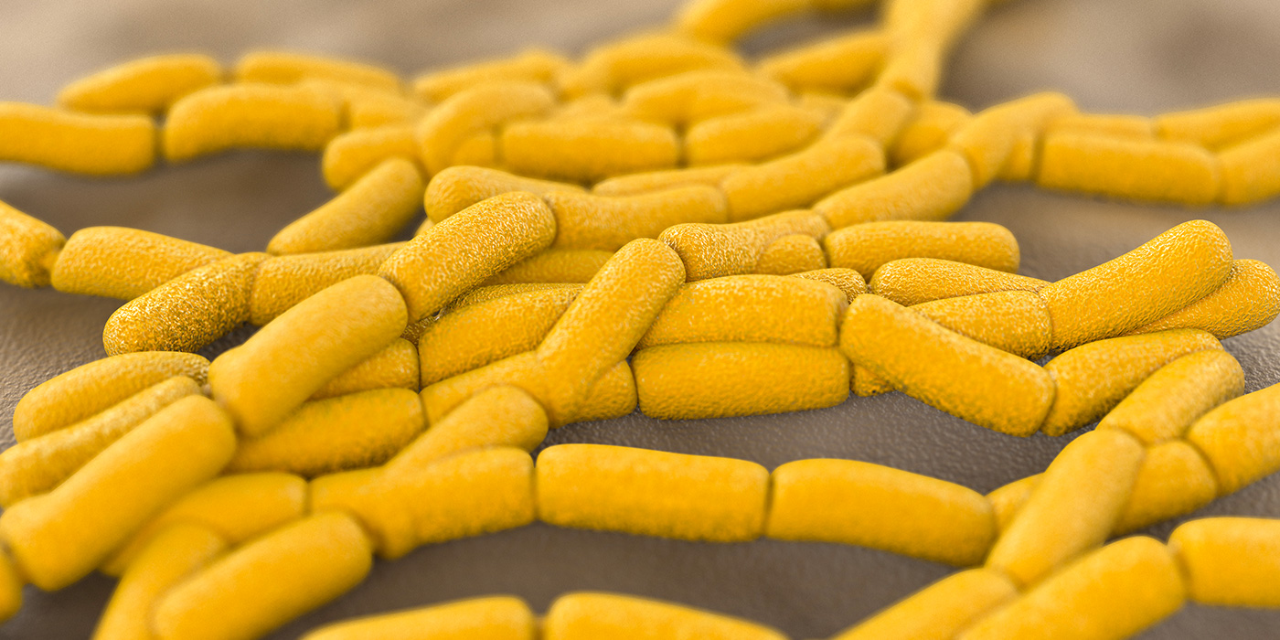 Inhibiting Bacterial Growth with Bioactive Glass MoSci