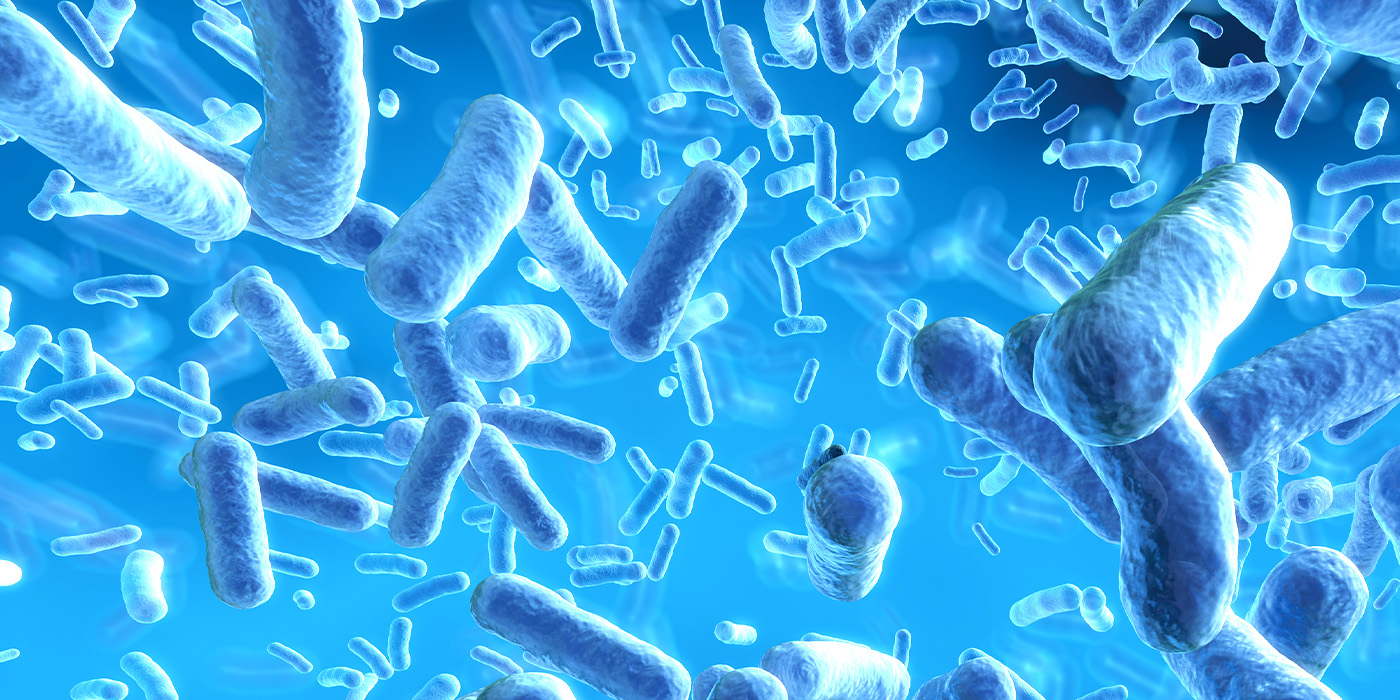 Bioactivity Testing for Medical Implants MoSci MoSci Corporation