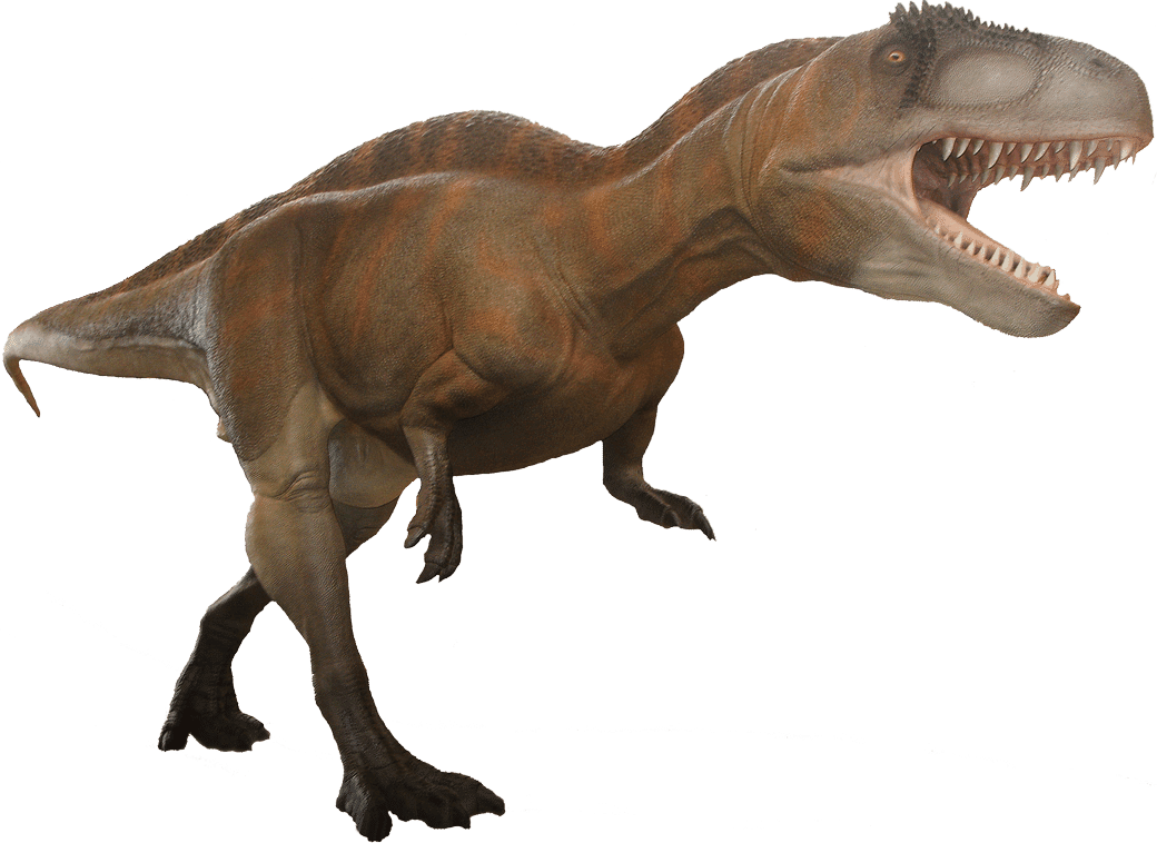 Allosaur Acrocanthosaurus Moab Giants Dinosaur Park