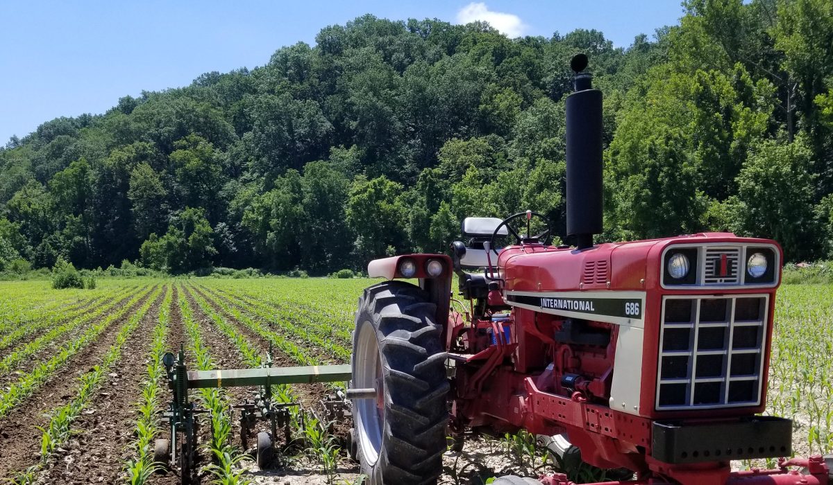 MOA Member Farm Feature Creekside Farms, LLC Missouri Organic