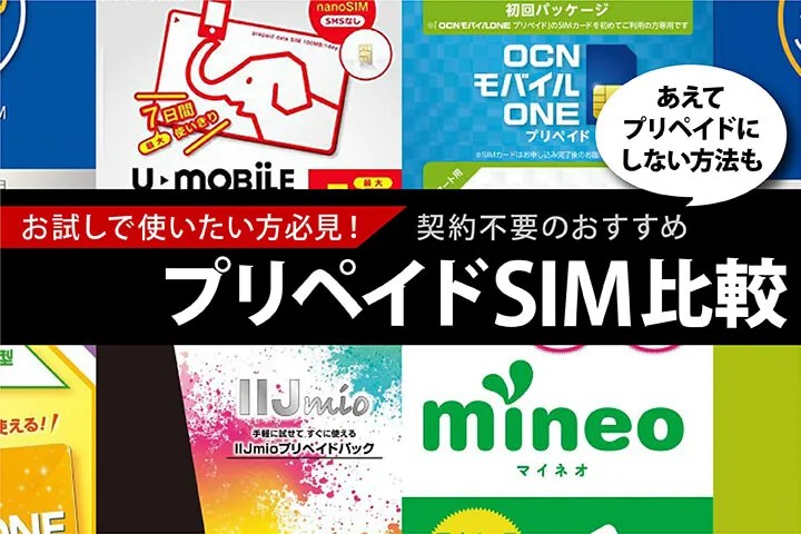 プリペイド Sim 無 期限 Reganrdx