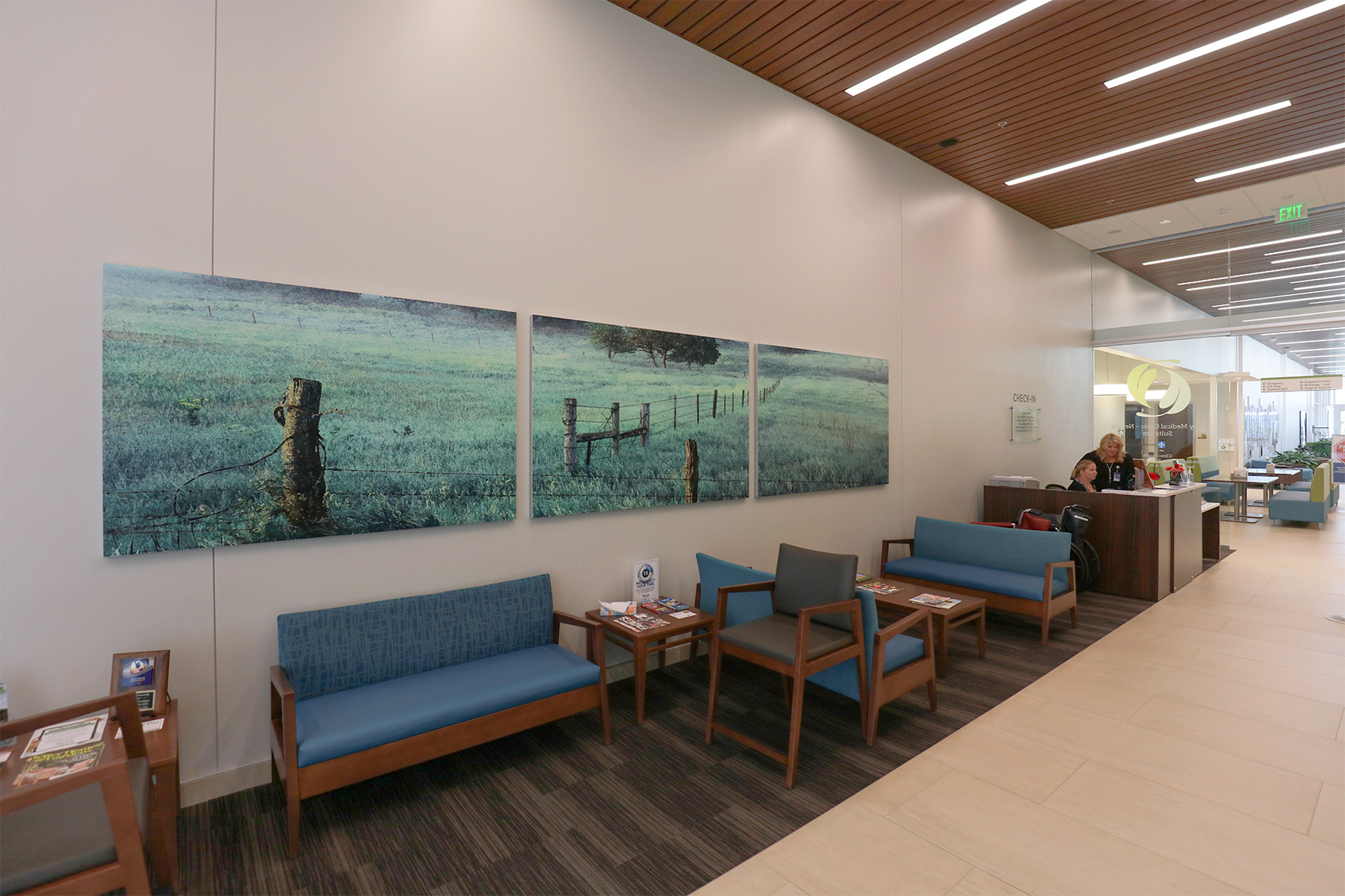 Story County Medical Center Moberg Art Services