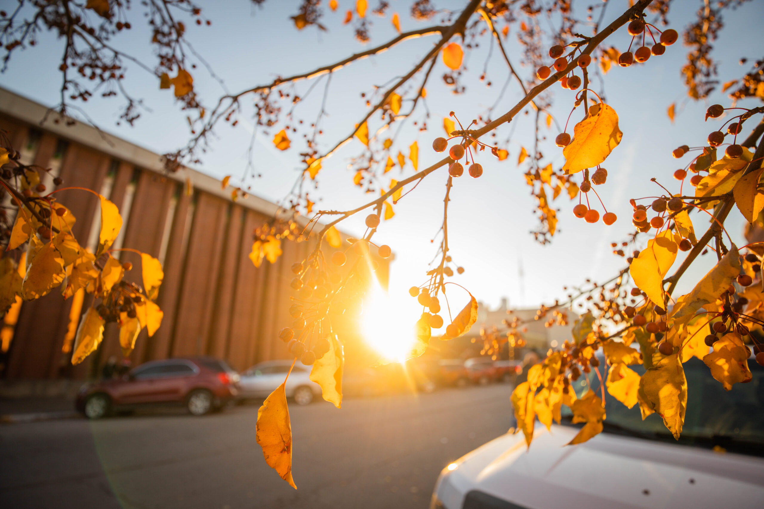 Moberly Missouri Convention & Visitor's Bureau Moberly Convention and