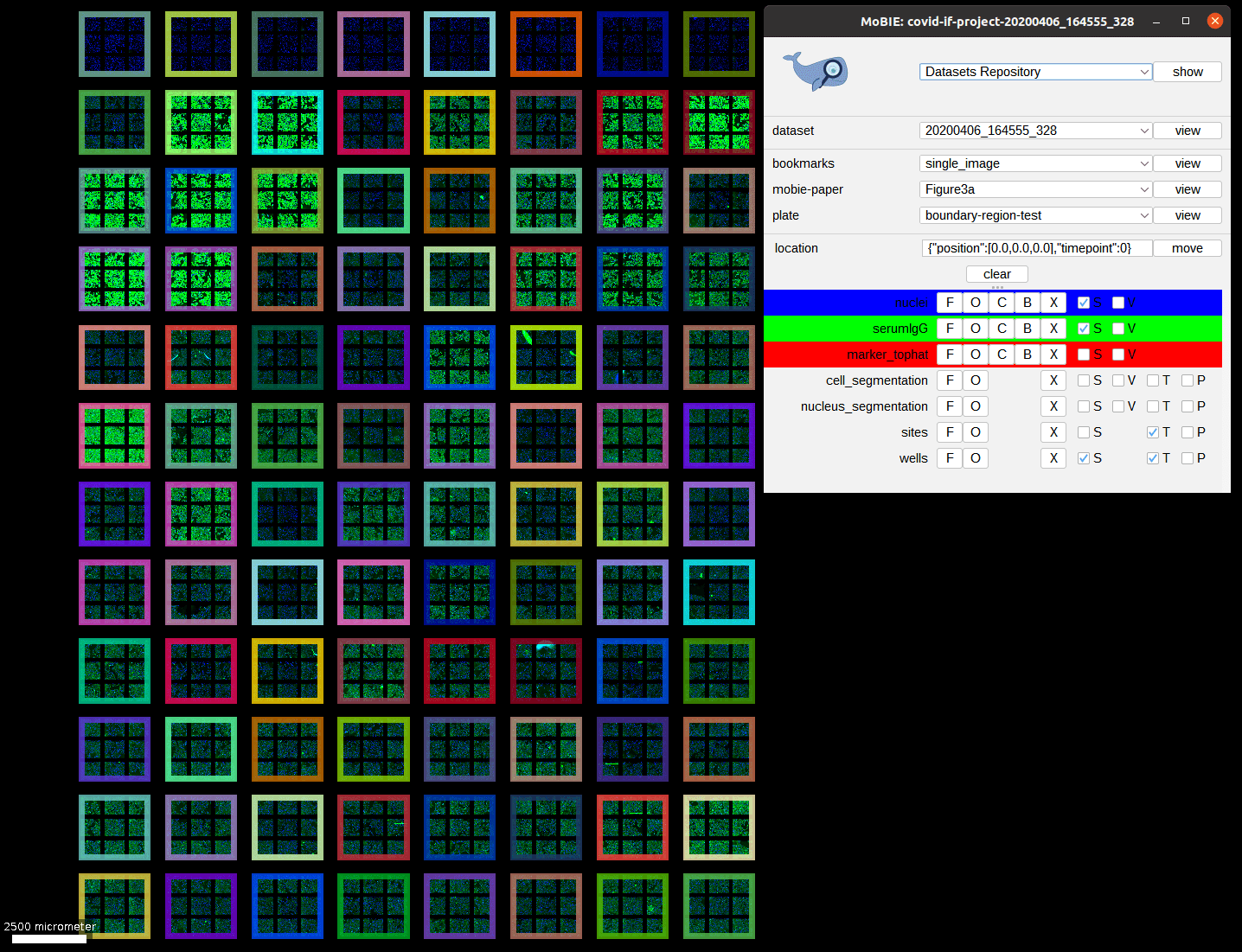 Grid views and image tables MoBIE