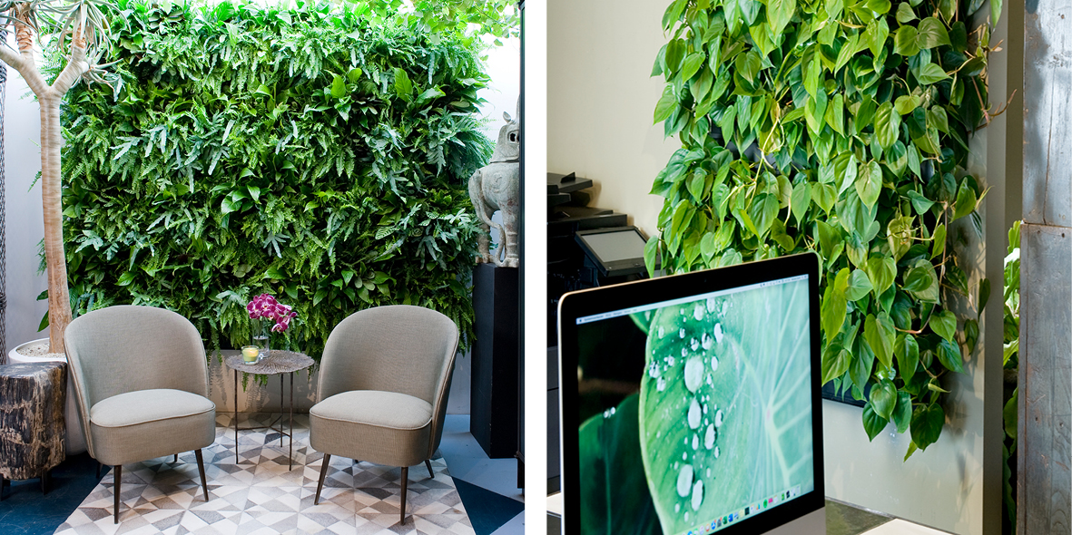 DIY Living walls Future ECOsystems