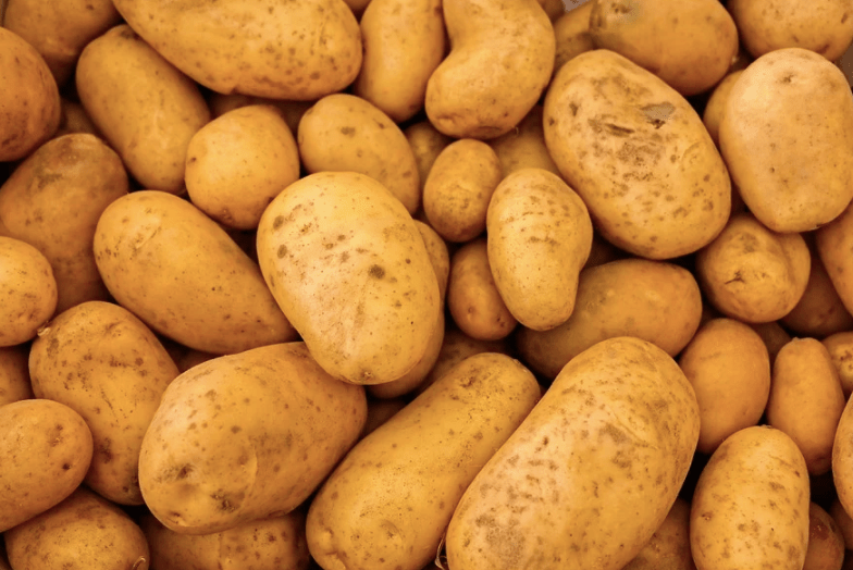 How Much Does it Really Cost to Open a Five Guys in 2024?