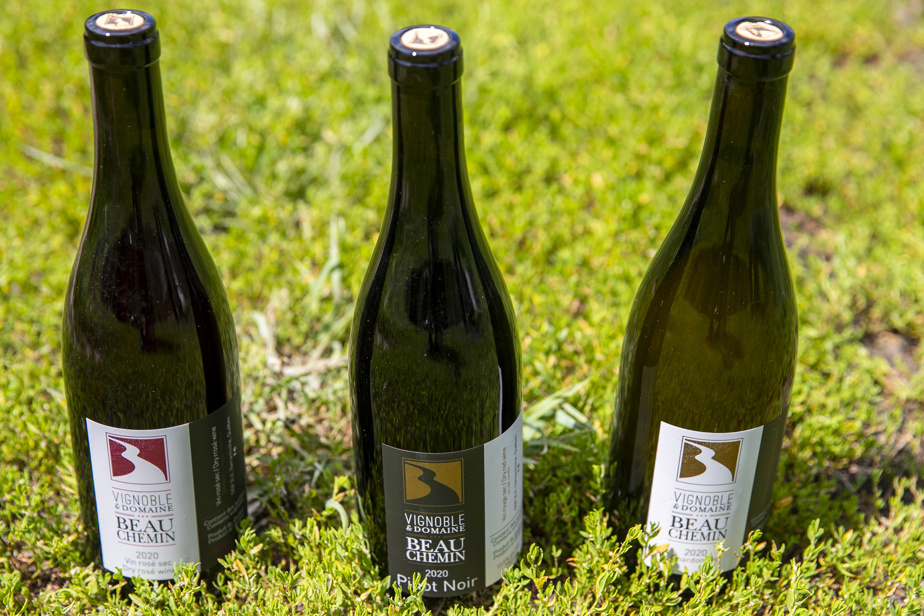 Vignoble et domaine Beauchemin Grands vins à Yamachiche La Presse