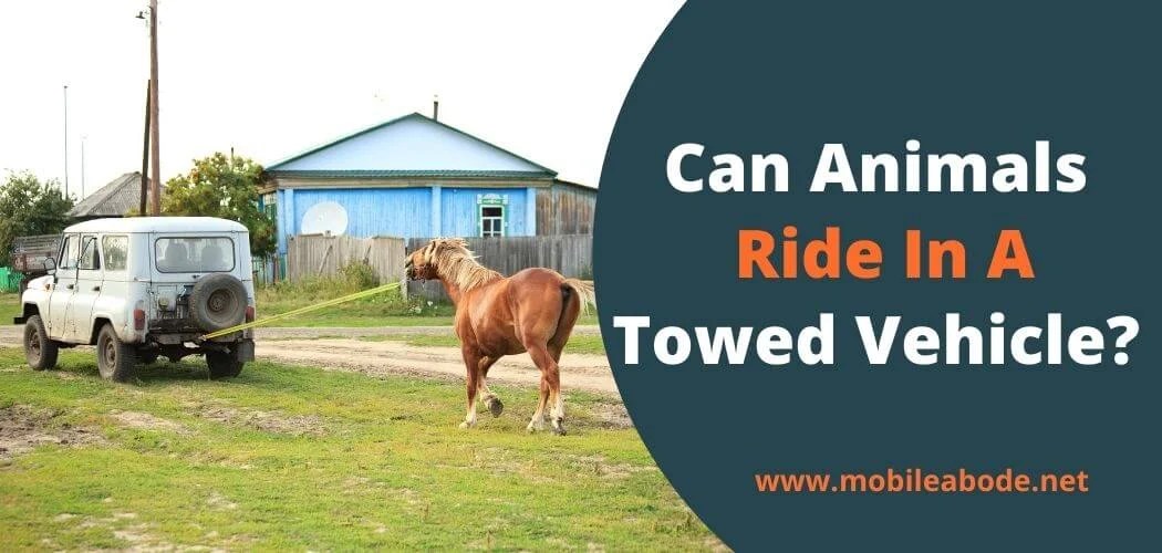 Can Animals Ride In A Towed Vehicle? Mobile Abode
