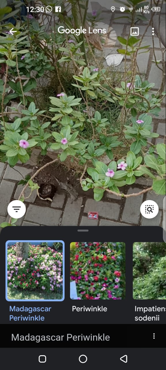 What is Google Lens How Google Lens Works Features of Google Lens