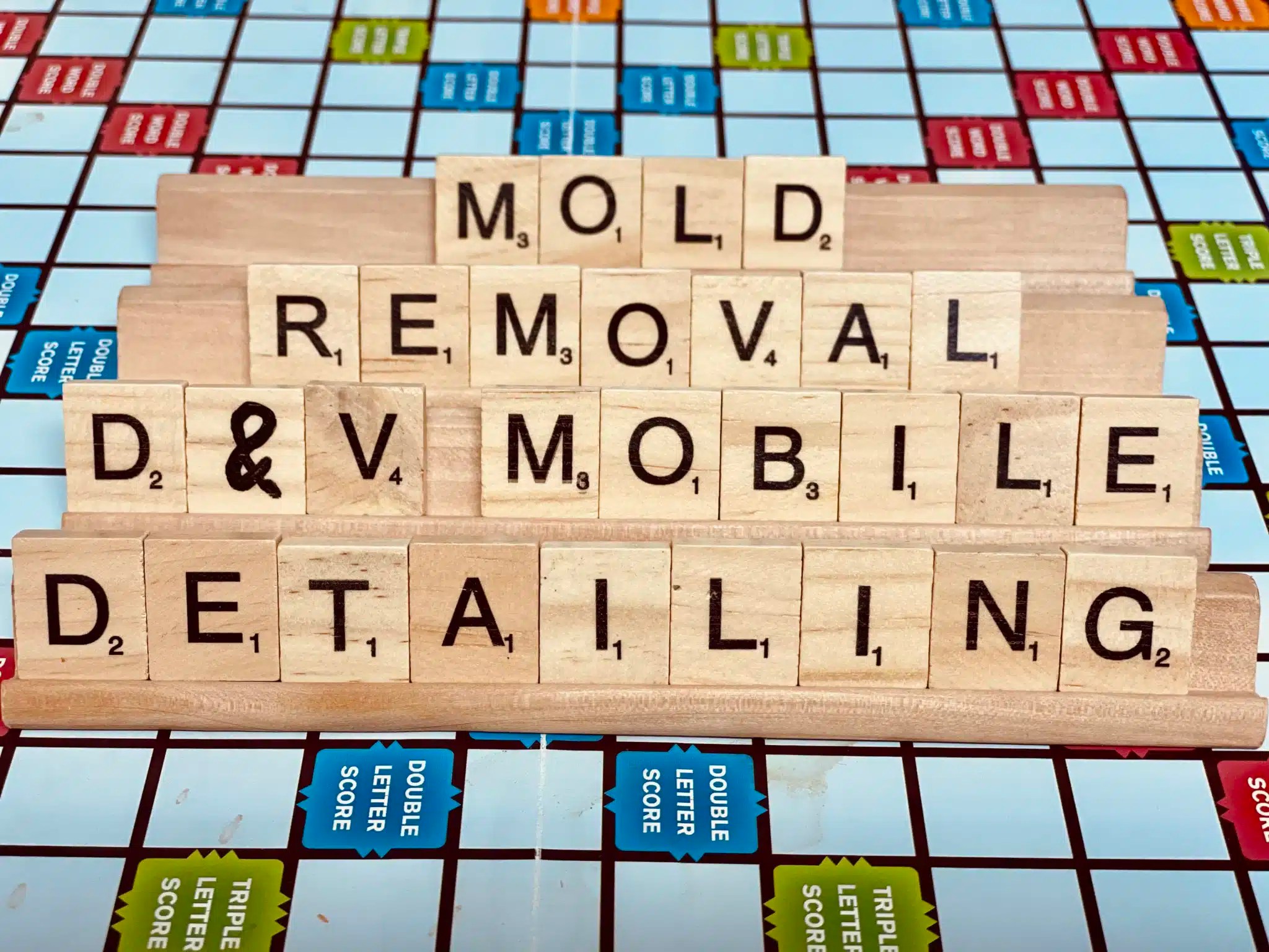 Best Car Mold Removal Near Me 1125+ Reviews D&V Detailing