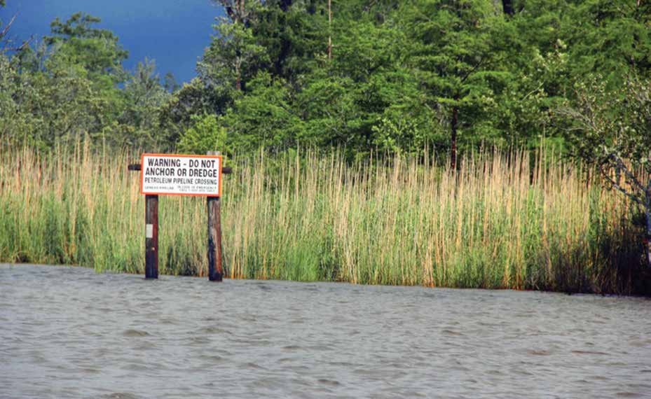 Alabama Delta Alliance Highlights MobileTensaw River Delta Resource