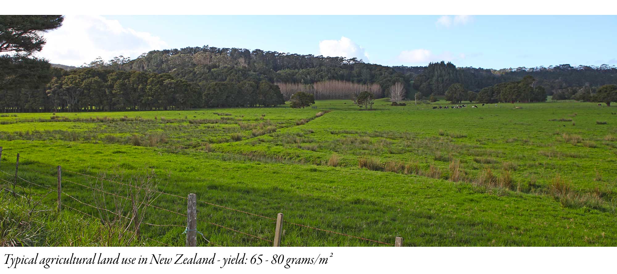 Ag Land mobilehome.nz