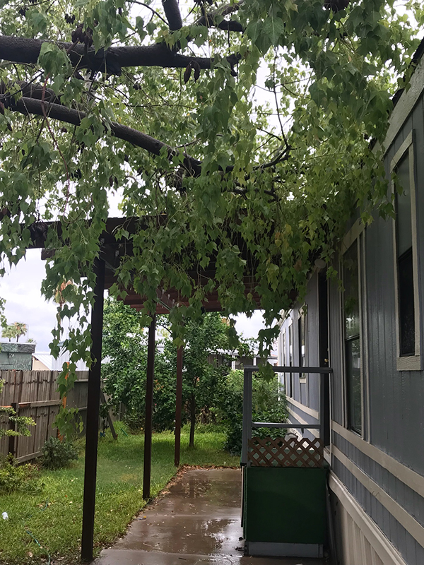 Glendale Singlewide Mobile Home AS IS Mobile Home Guyz