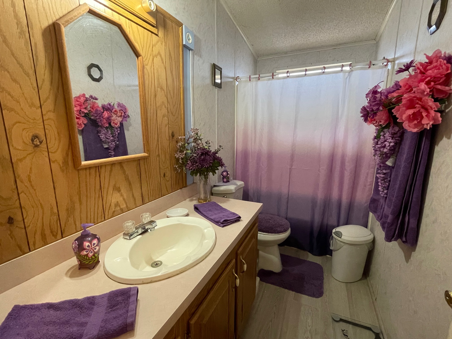 Litchfield Park Mobile HomeAll Age Private Lot Mobile Home Guyz