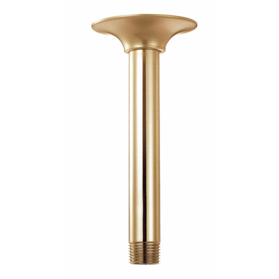 Danze Polished Brass Shower Arm at