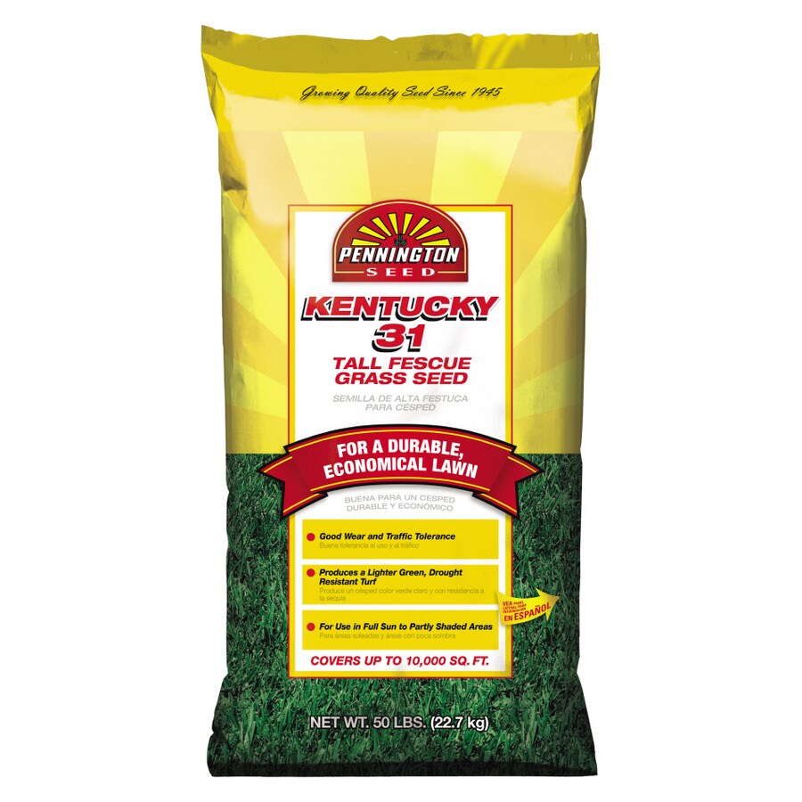 Pennington 50 Lbs. Pennington Kentucky 31 Grass Seed at