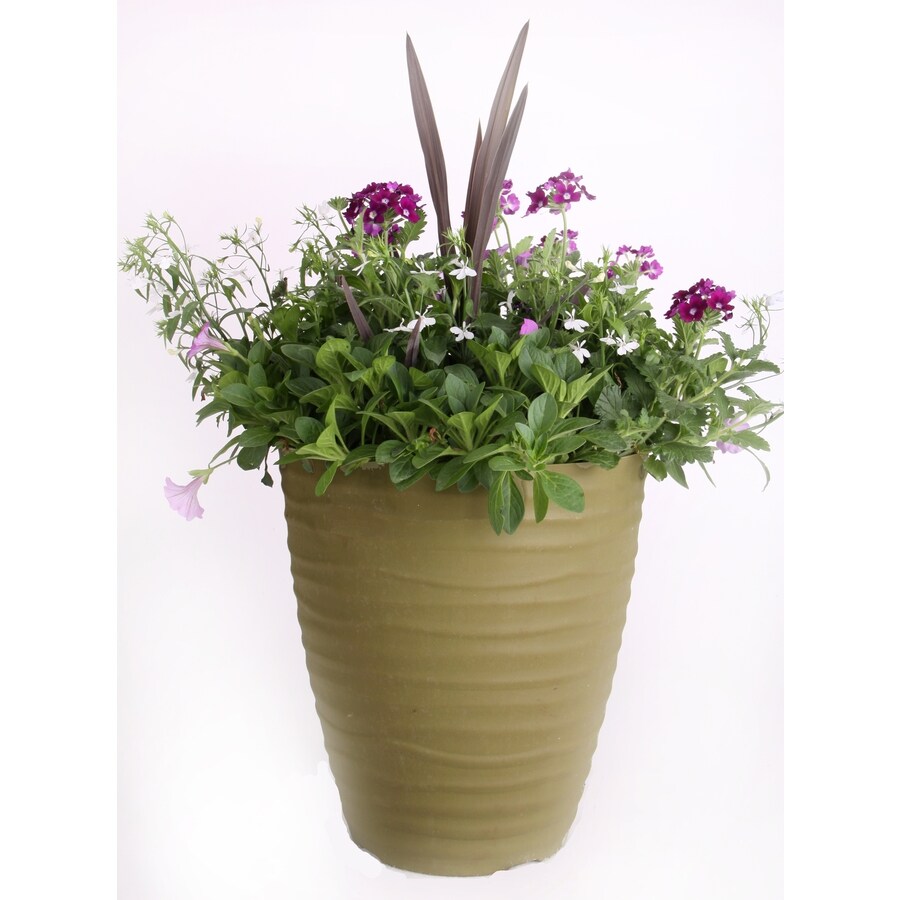 18in W x 12in H Matte Black Plastic Planter at