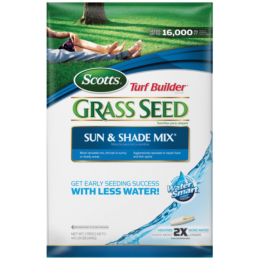 Scotts Turf Builder 40lb Bluegrass Grass Seed in the Grass Seed