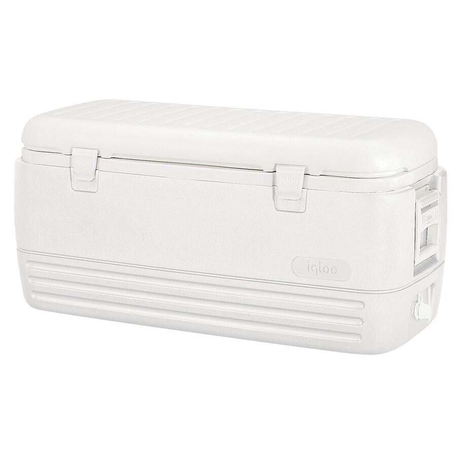 Shop Igloo 120Quart Plastic Chest Cooler at