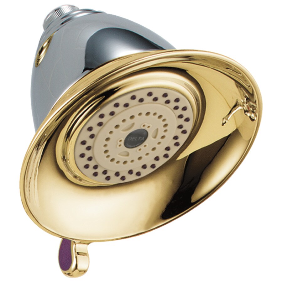 Shop Delta Victorian Chrome and polished brass 2Spray Shower Head at