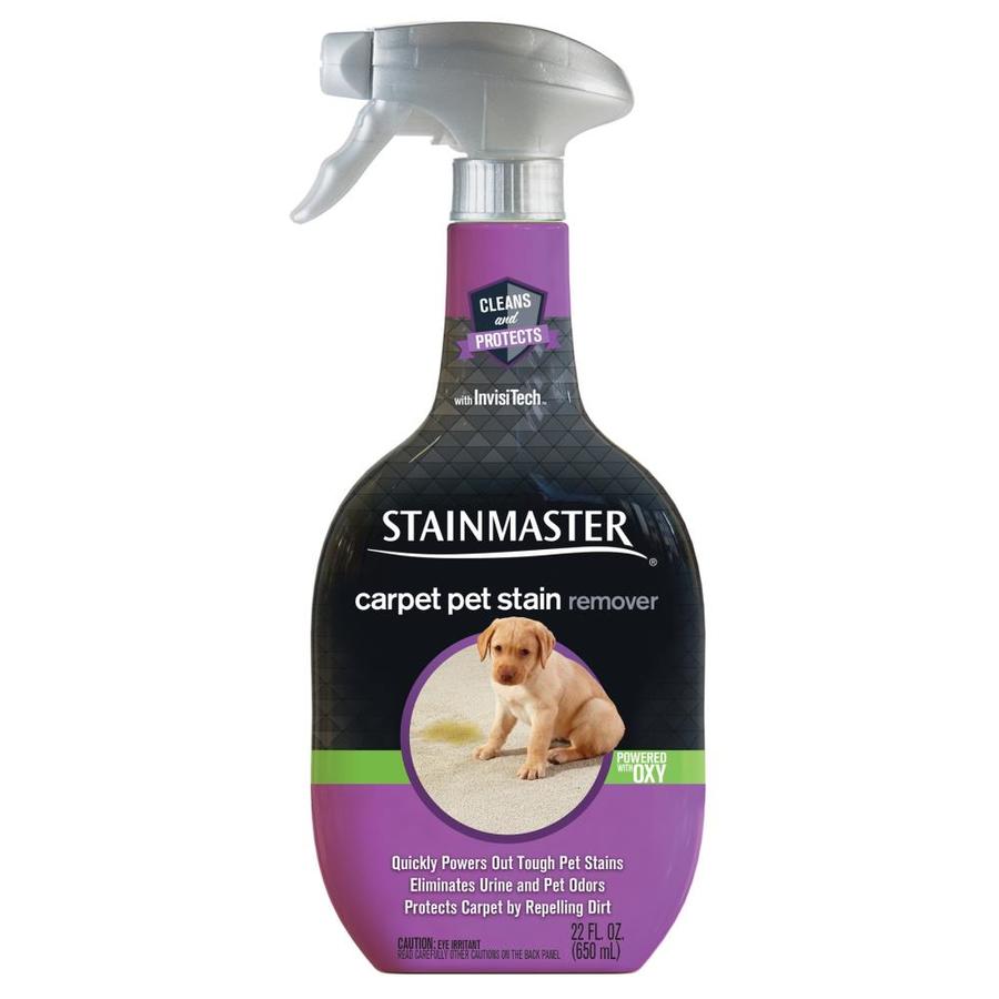 STAINMASTER 28oz Cat and Dog Stain and Odor Remover Power Sprayer at