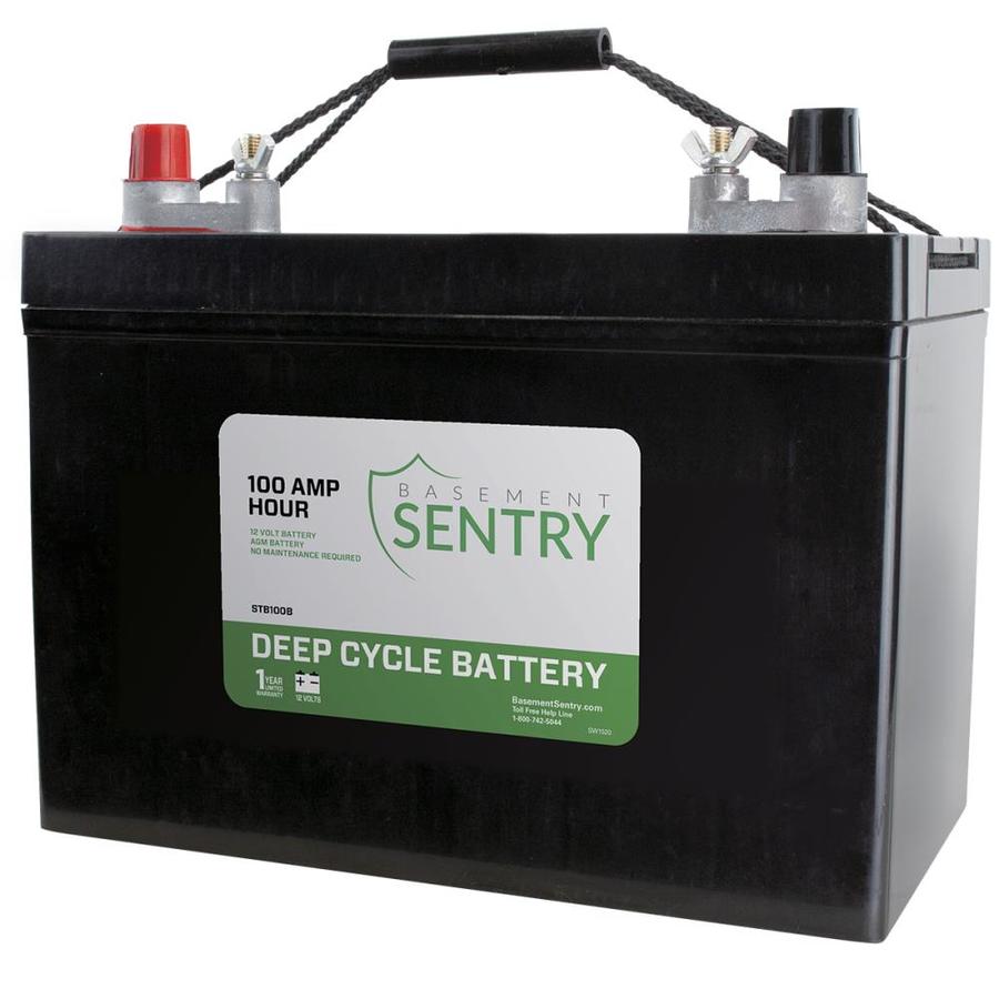 Basement Sentry Thermoplastic Battery in the Water Pump Accessories