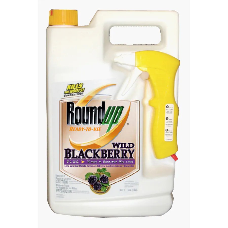 Roundup 170oz Roundup ReadyToUse Wild Blackberry Plus Vine & Brush