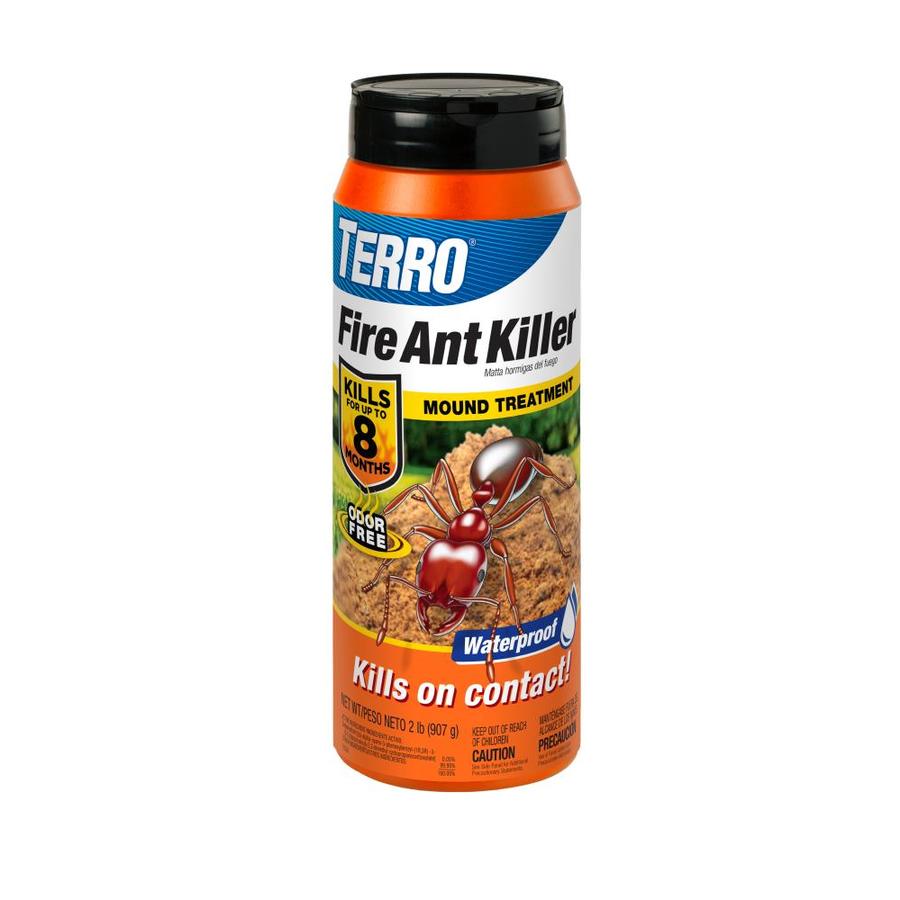 Ant Extermination Montreal Ant Exterminator Services