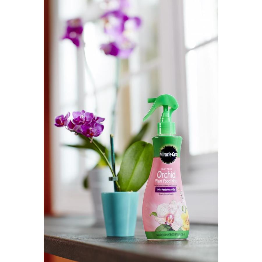 MiracleGro ReadyToUse Orchid Plant Food Mist 8fl oz Indoor Plant