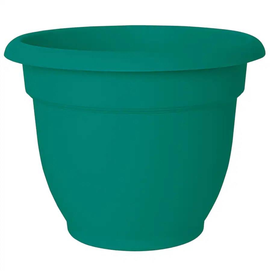 Shop 13.25in x 10.25in Pot at