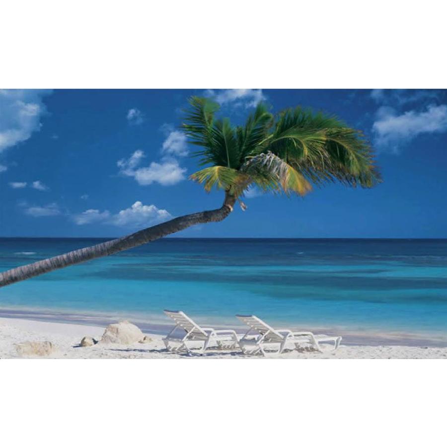 Environmental Graphics Ocean Breeze Wall Mural at